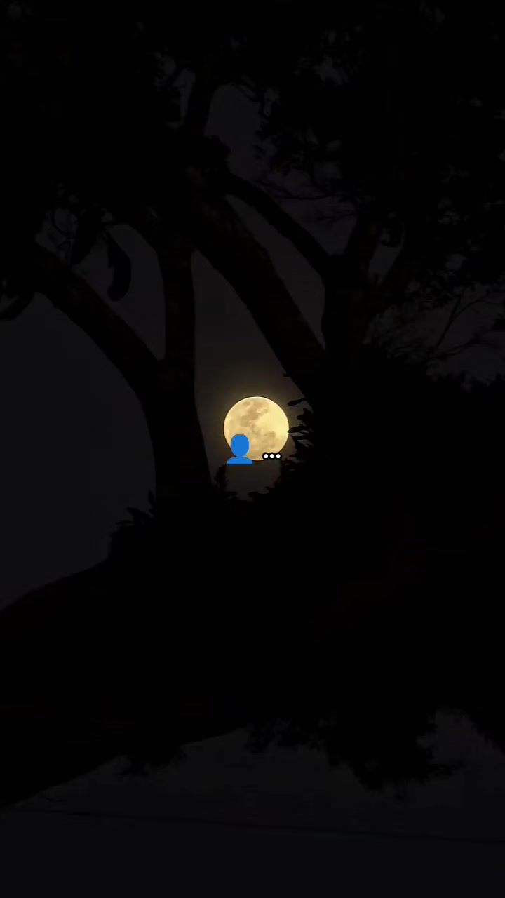 @𝑀𝒶𝓎𝓀𝑜𝓁 🪐