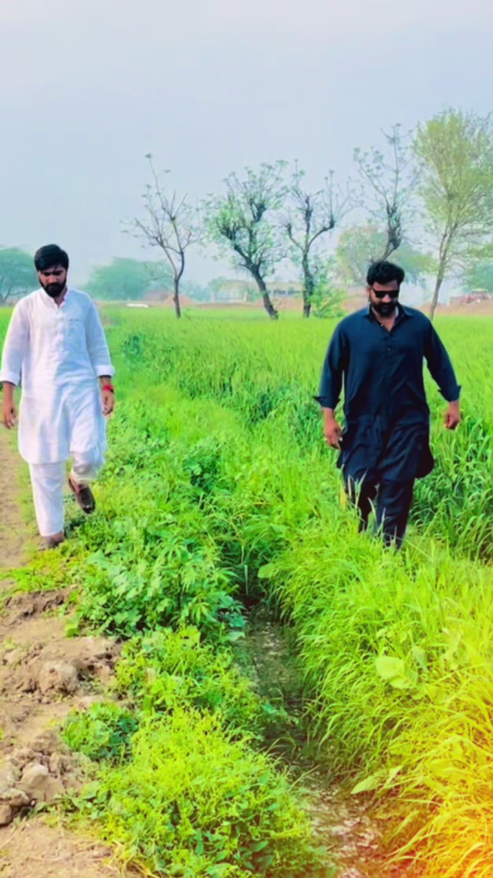 @چوھدری زین ہرل 222گروپ