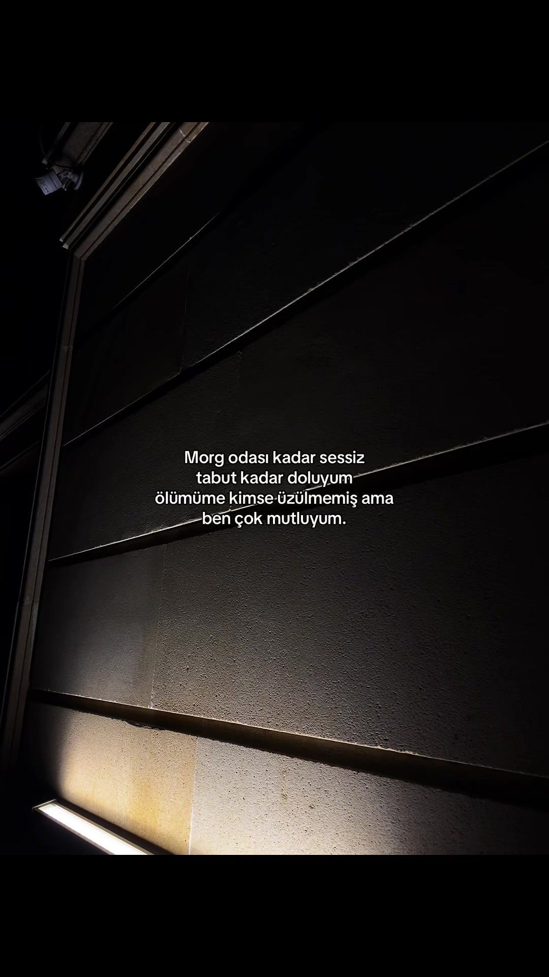 @𝓜.