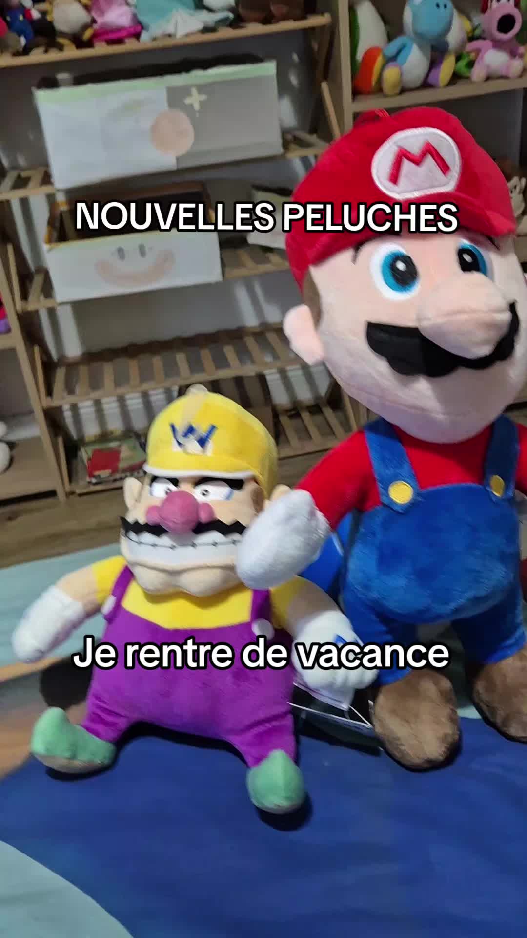 @peluchemario64