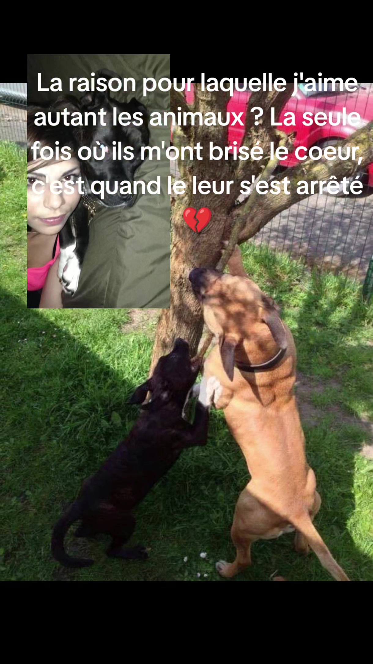 @audvii