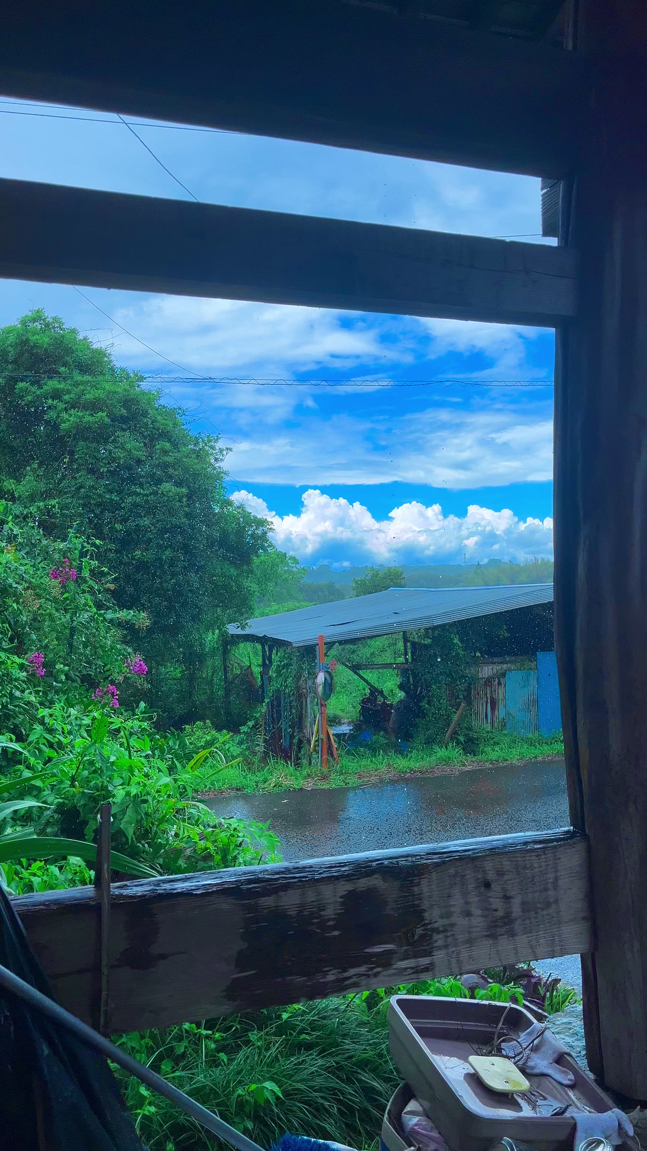 @︎︎夏空