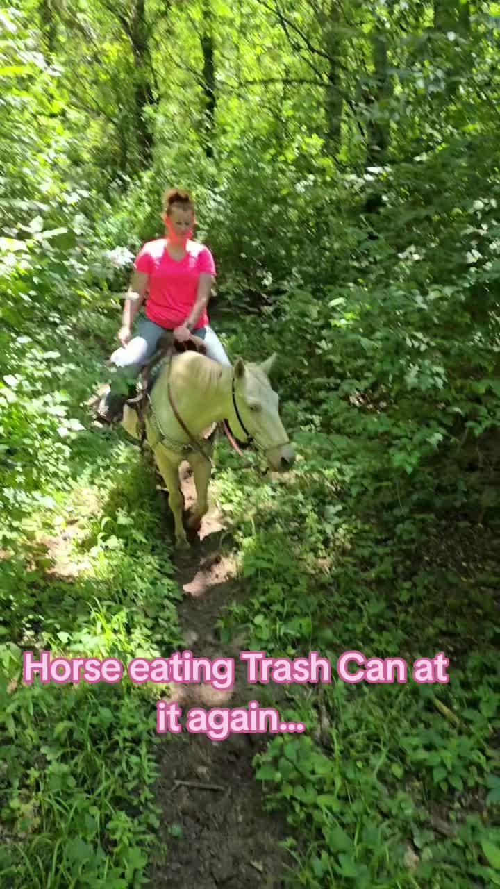@Small Town Farm LLC