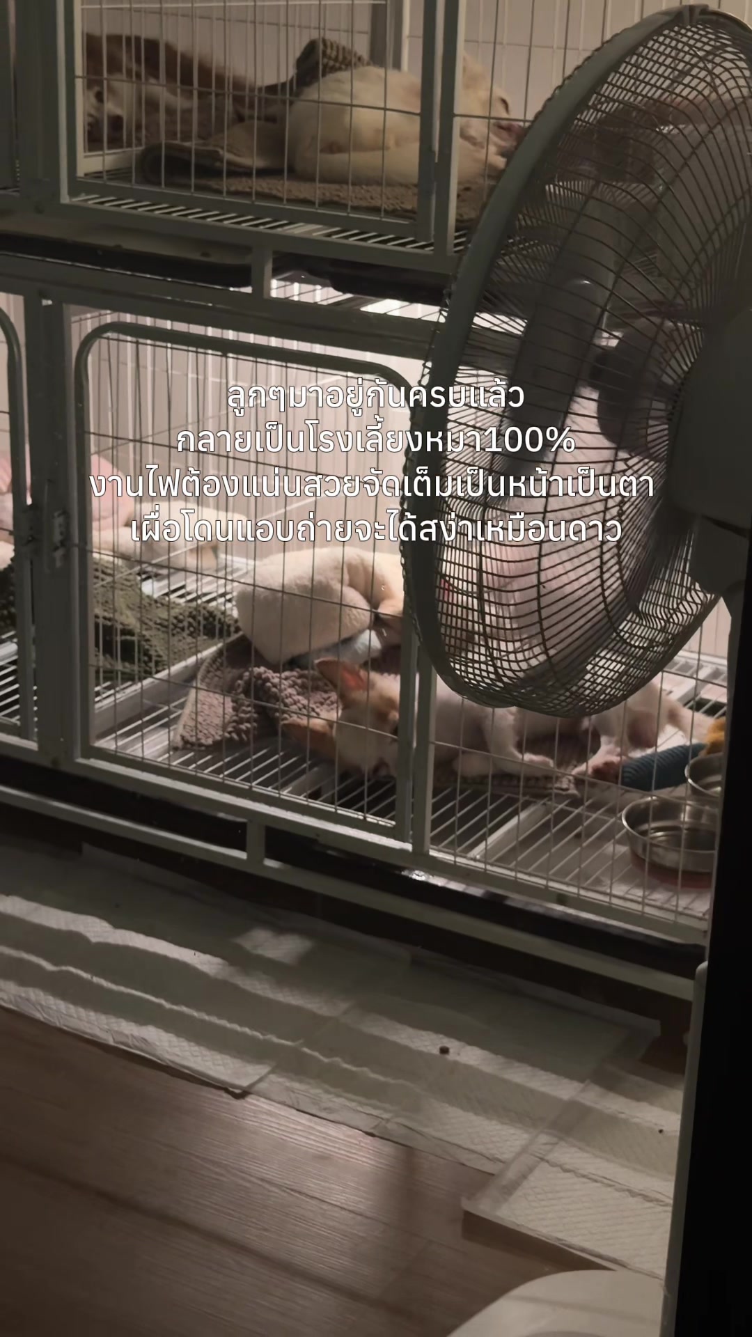@ทัคคุณ