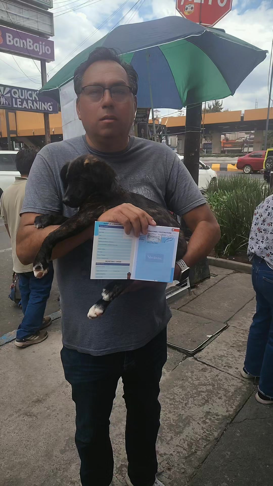 @rescate de perros guapos 😚