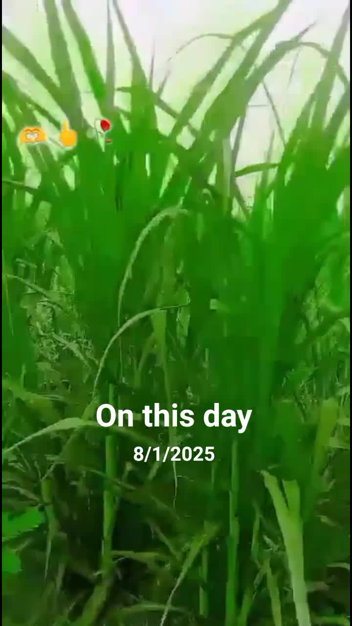 @𝑻𝑨𝑳𝑯𝑨𝑹𝑬𝑯𝑴𝑨𝑵🇸🇦🇵🇰