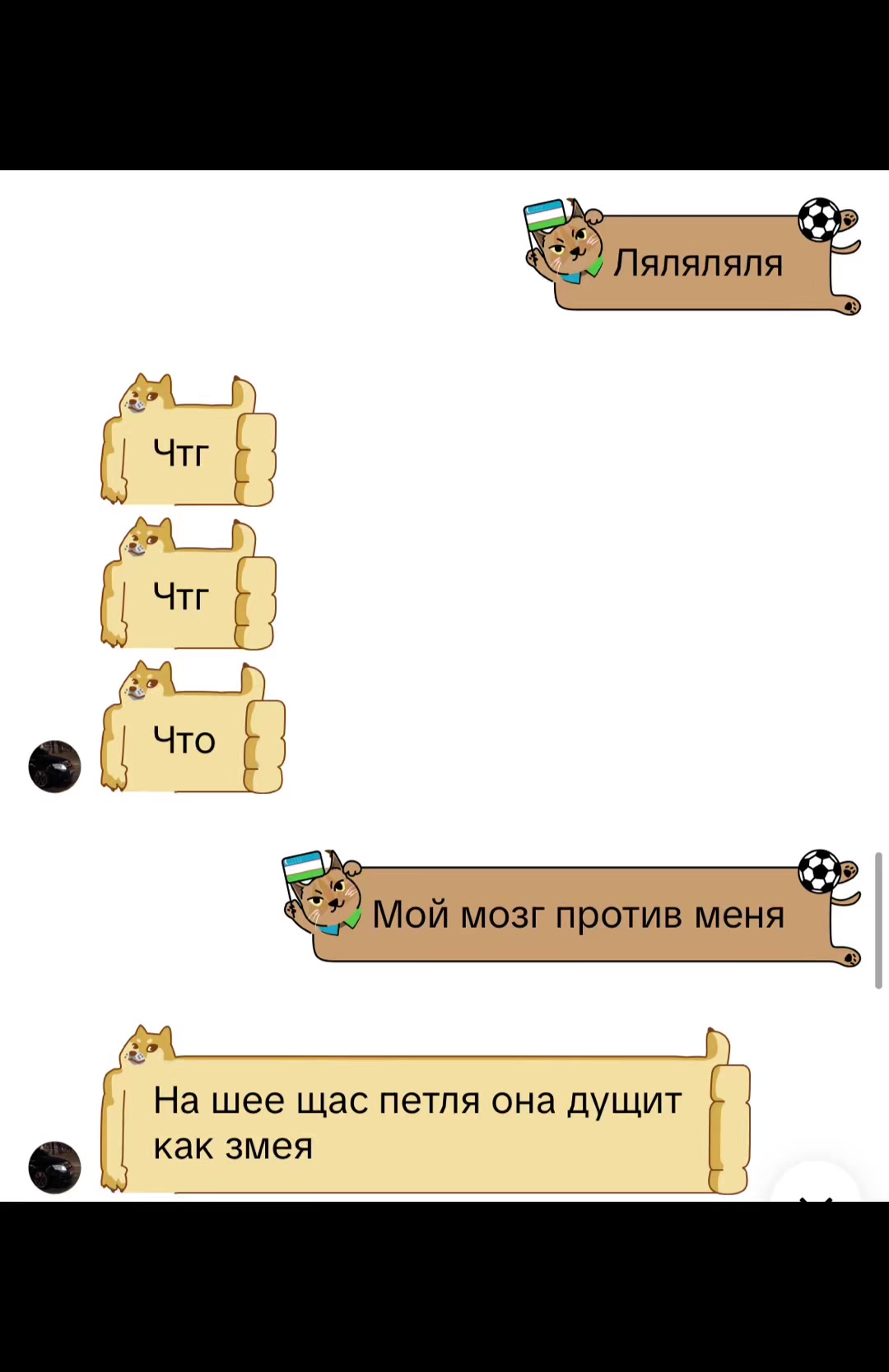 @Культ Куль