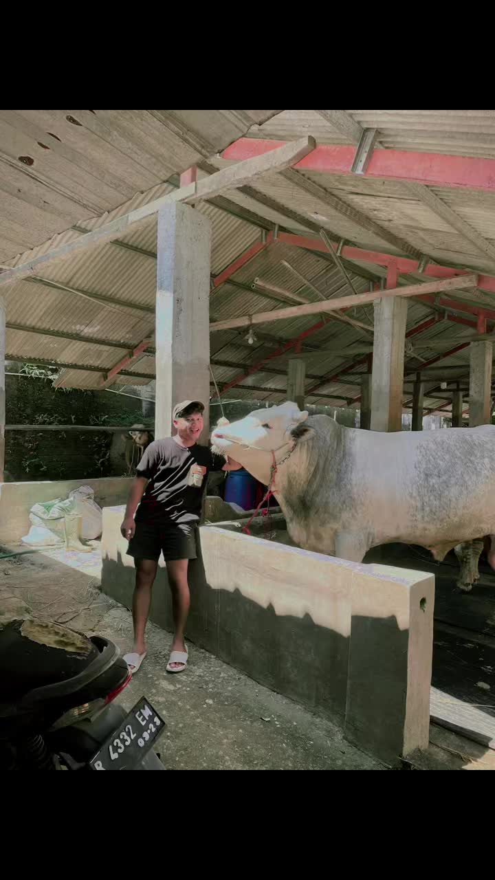@SuprahFarmBanjarnegara