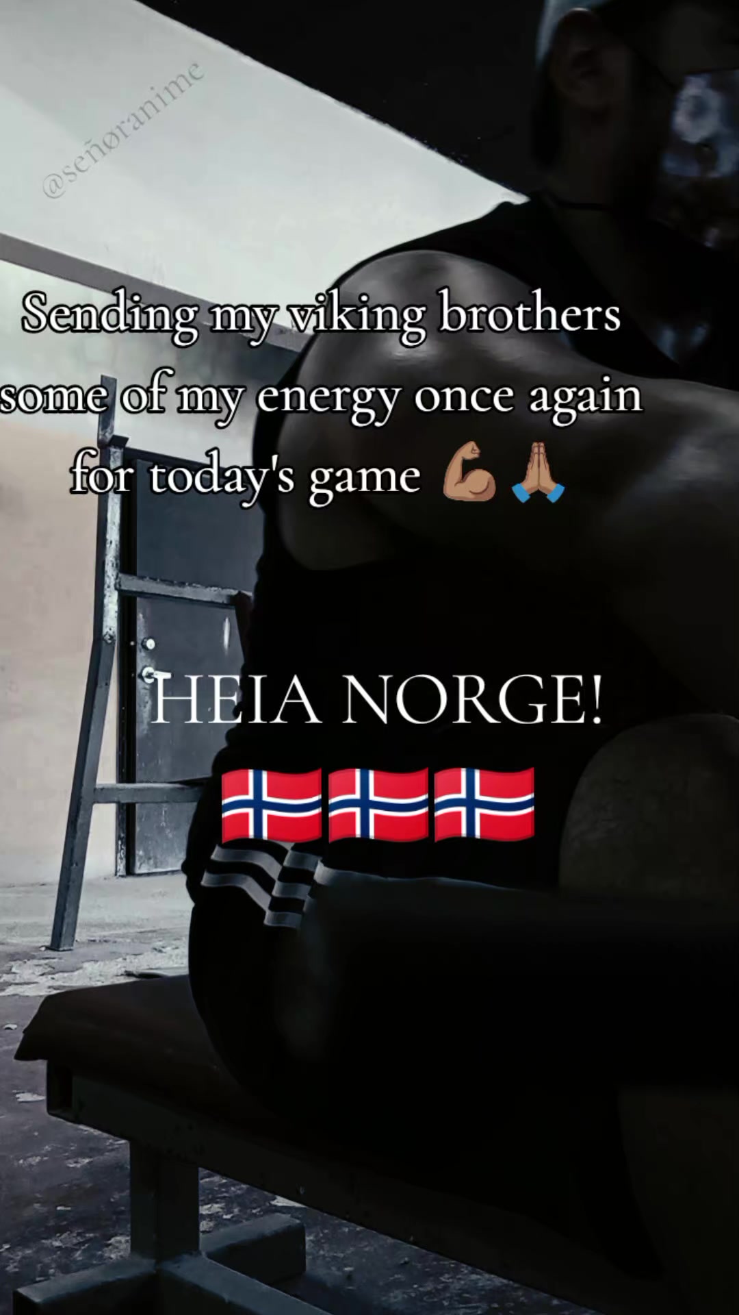 @SeñorAnime