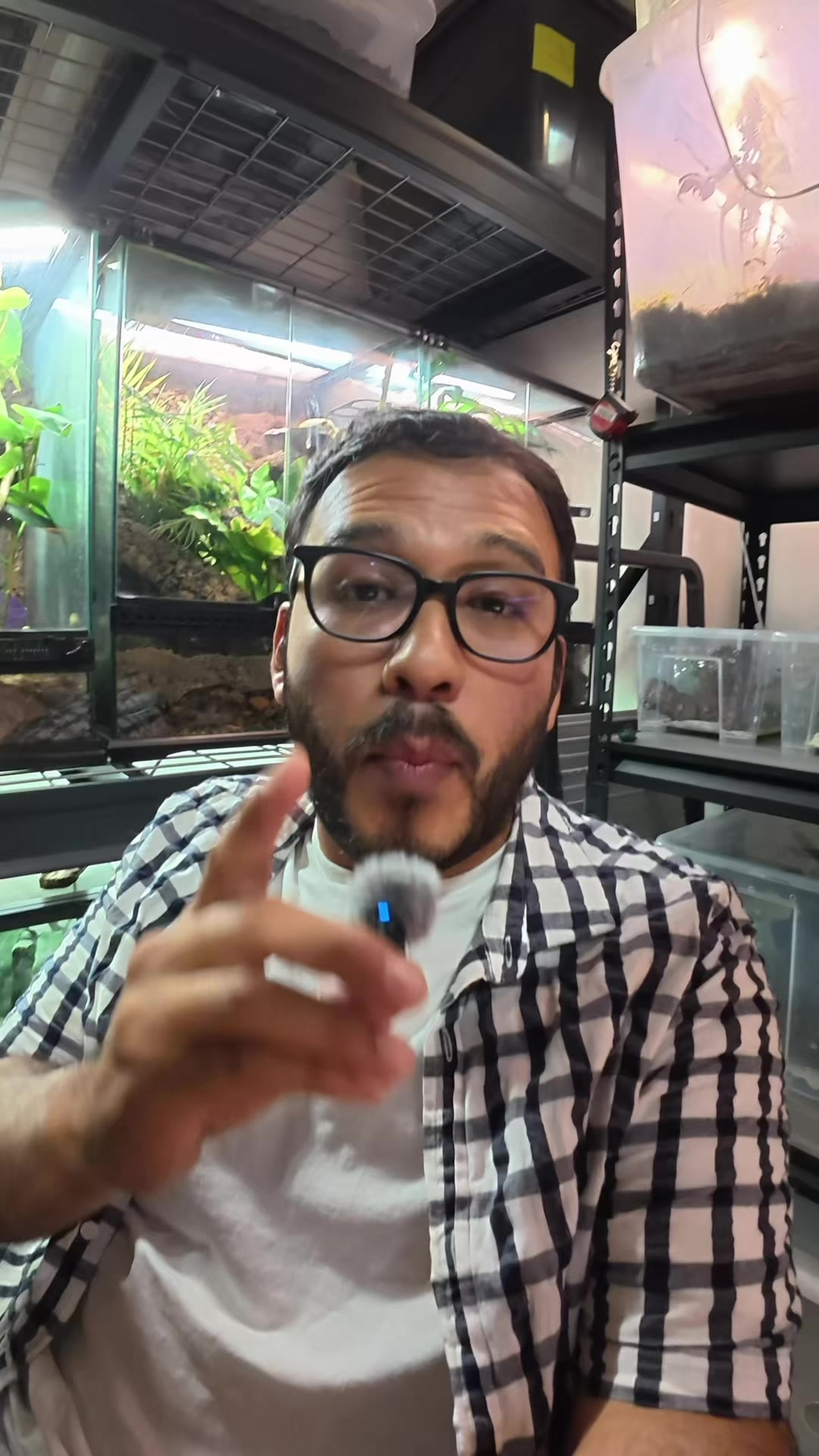 @Reptile Source