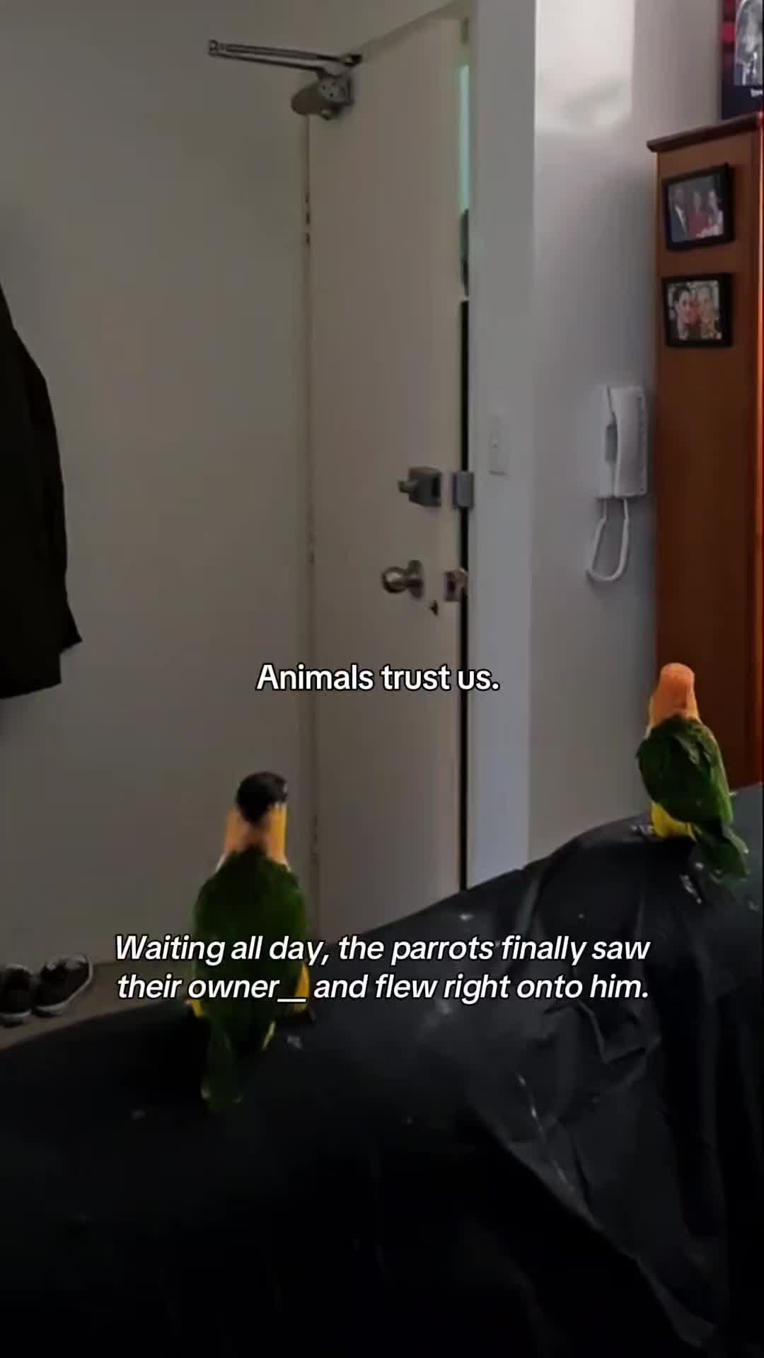 @WildwonderzZzz