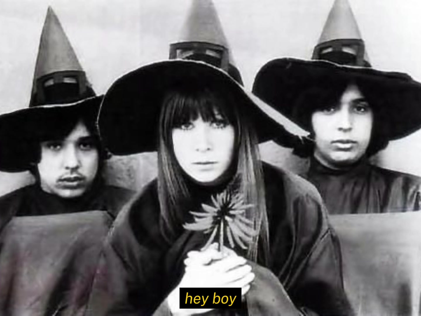 @lena 🪲☮️