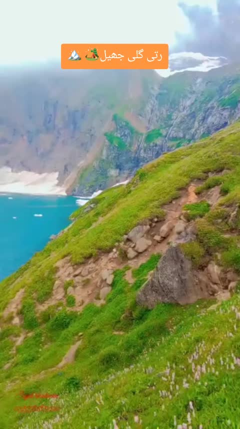 @sajid 786