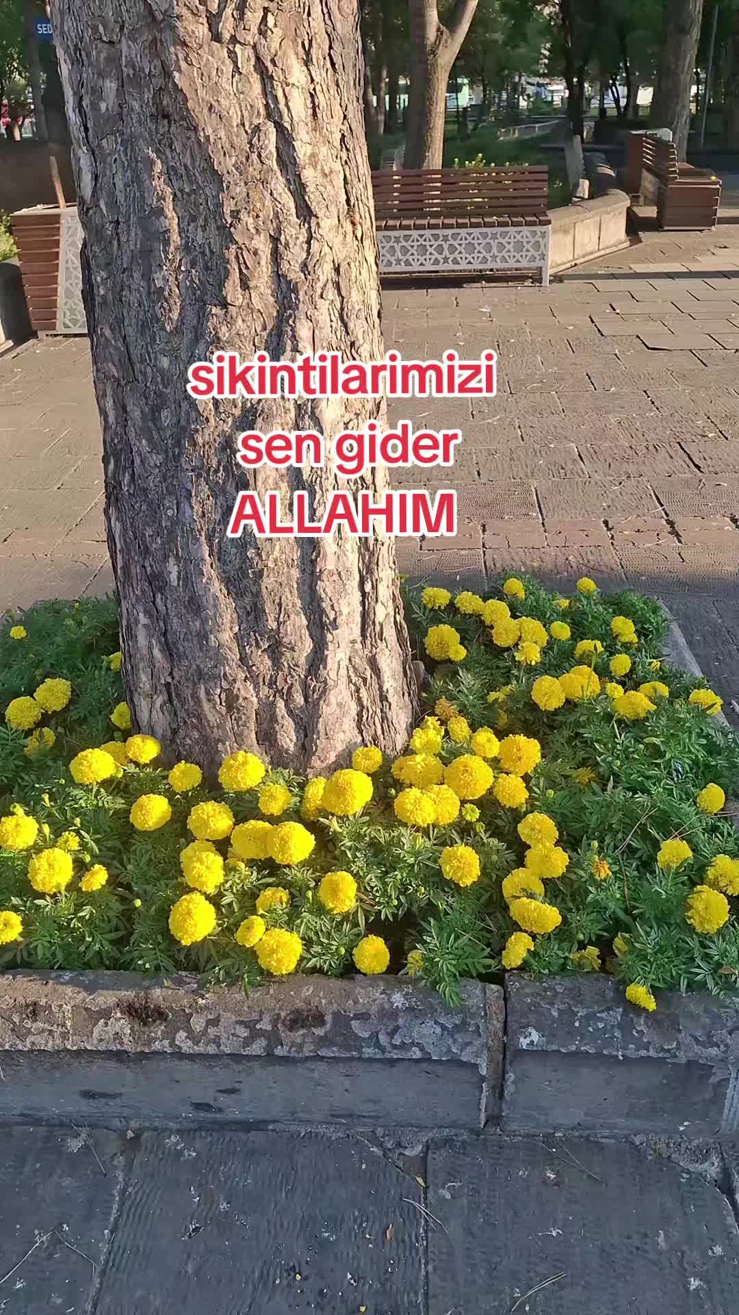 @gulvehsrn