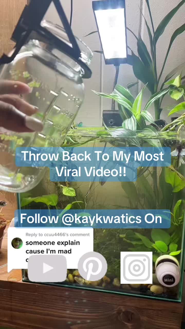 @KayKwatics & Exotics