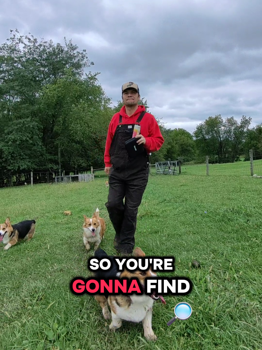 @Farmer Jake