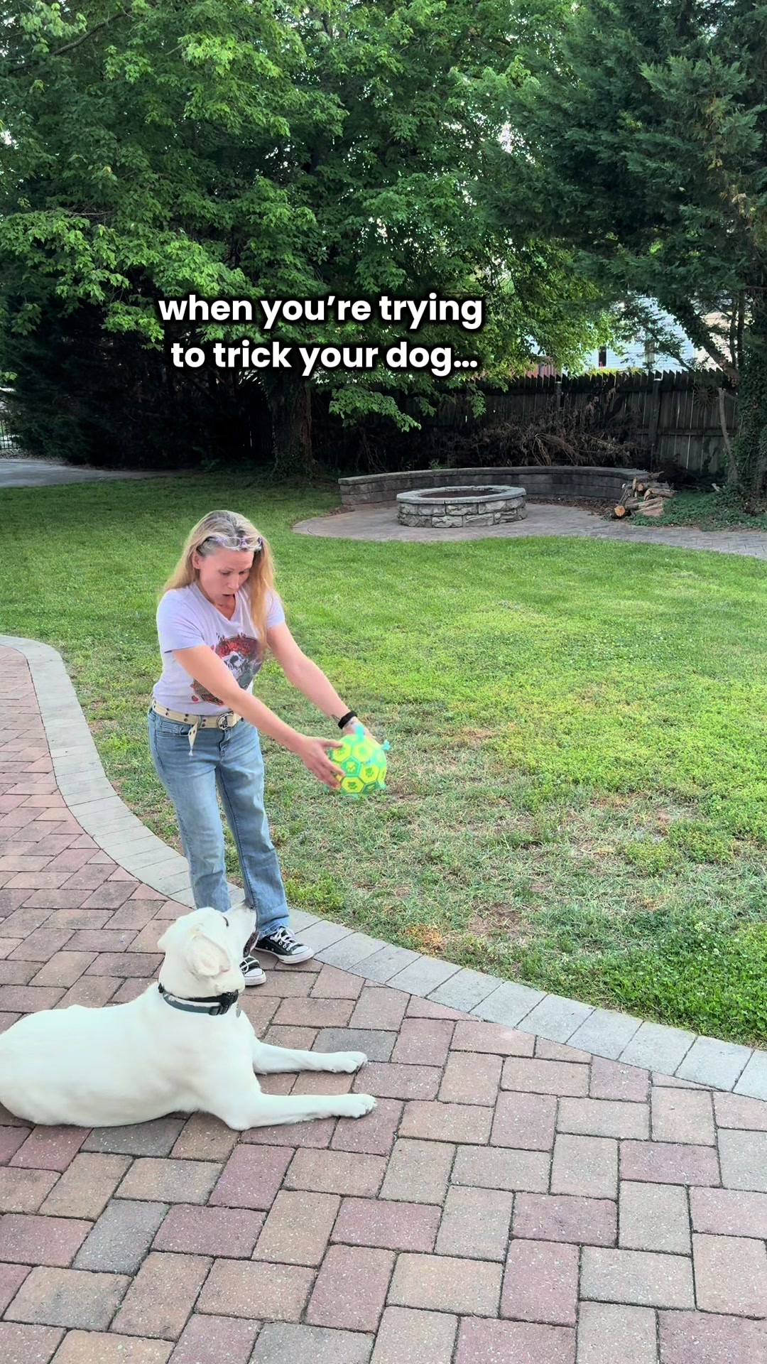 @pawsandamptics