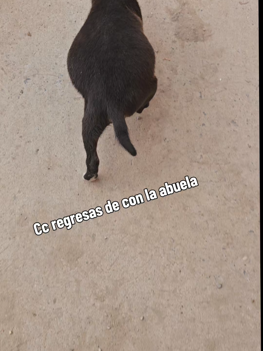 @Lily