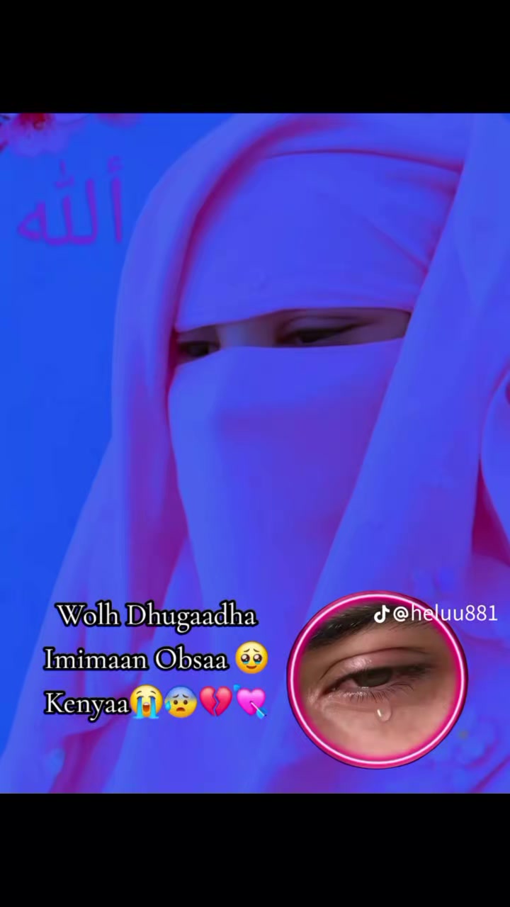@ofiin bontuu