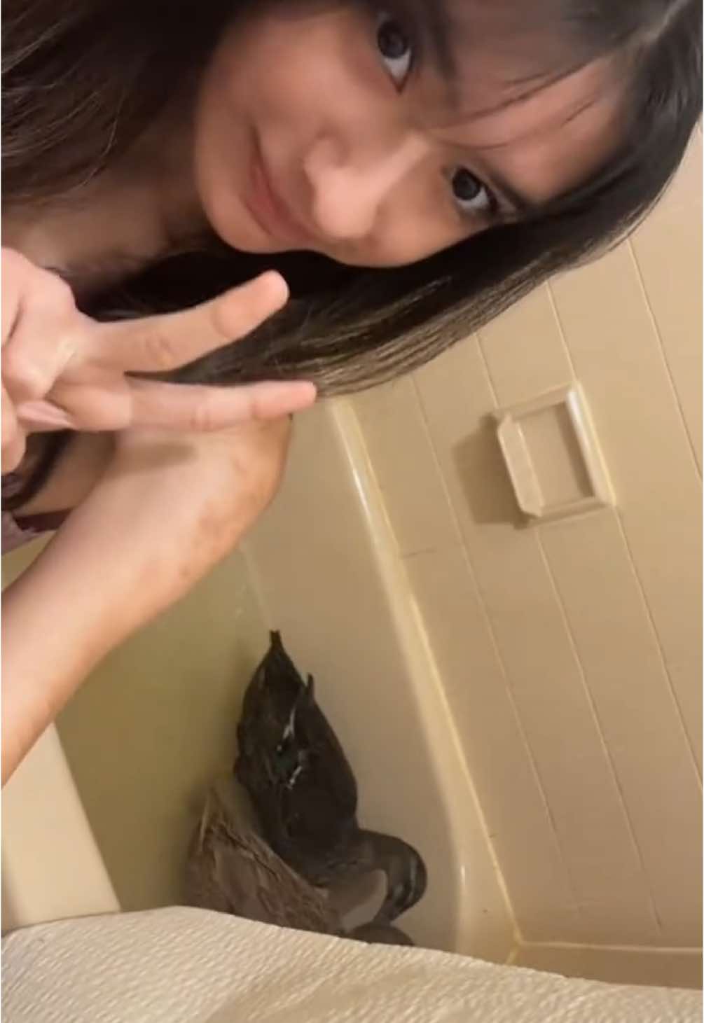 @Con