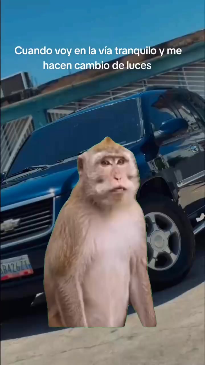 @jesus_gnzlz18