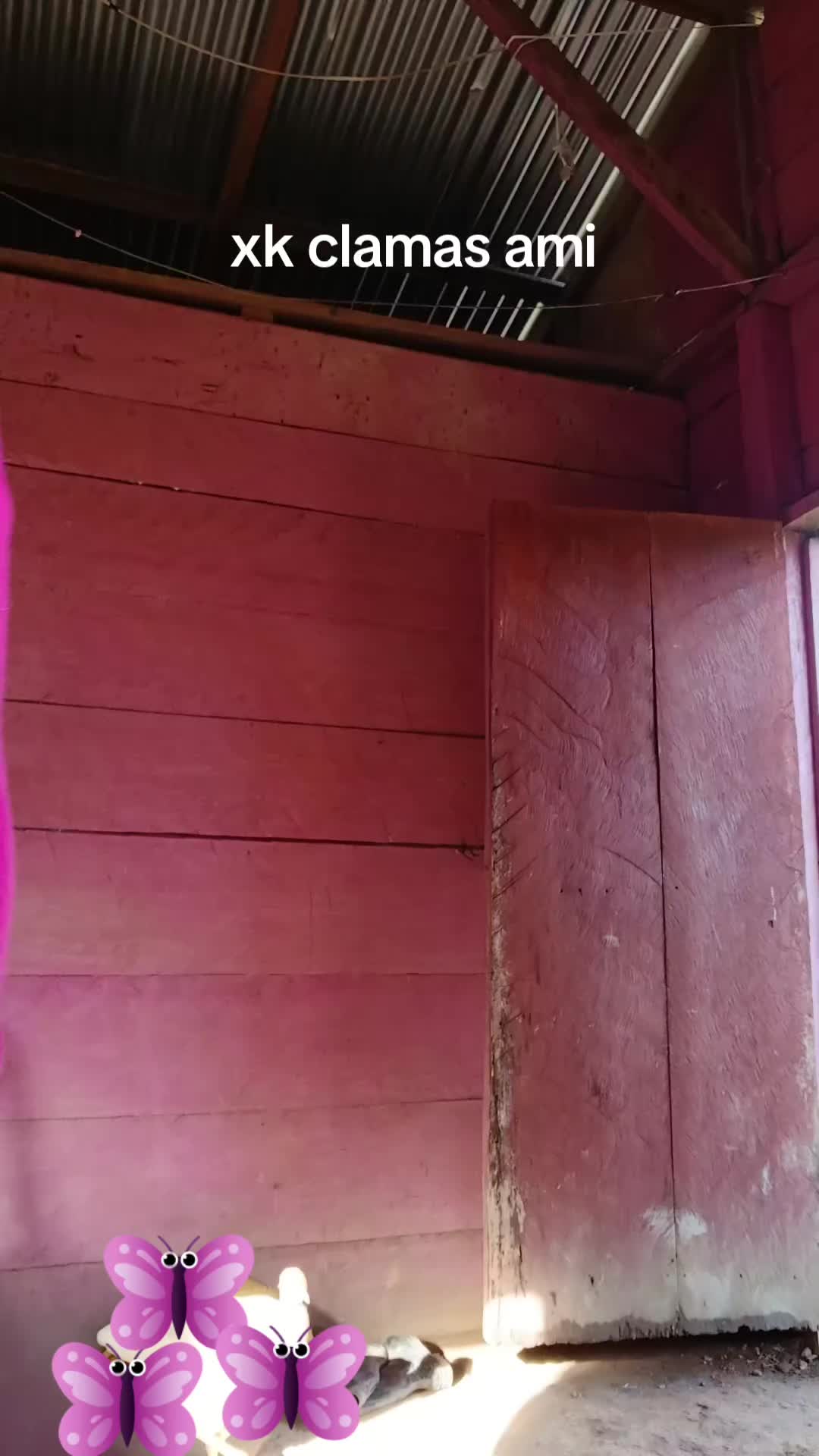 @🙏estrada-palacios🇳🇮