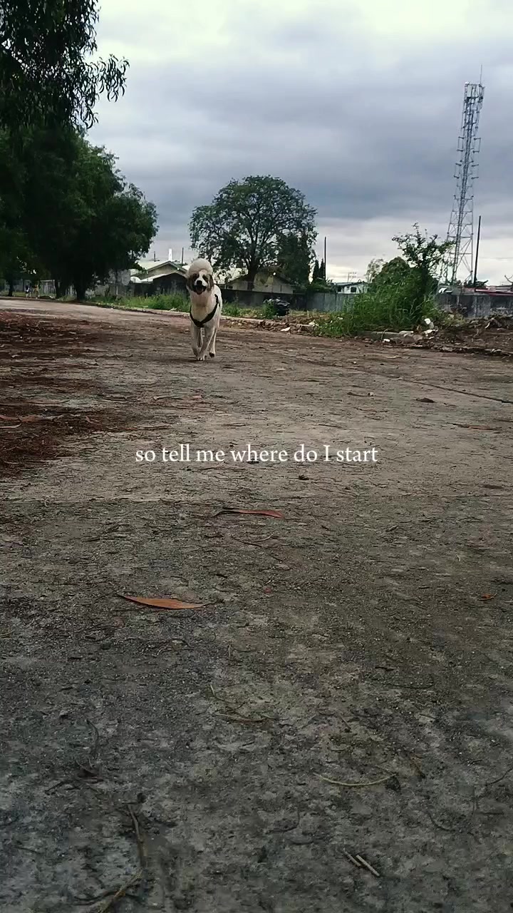 @Michaela Ferrer