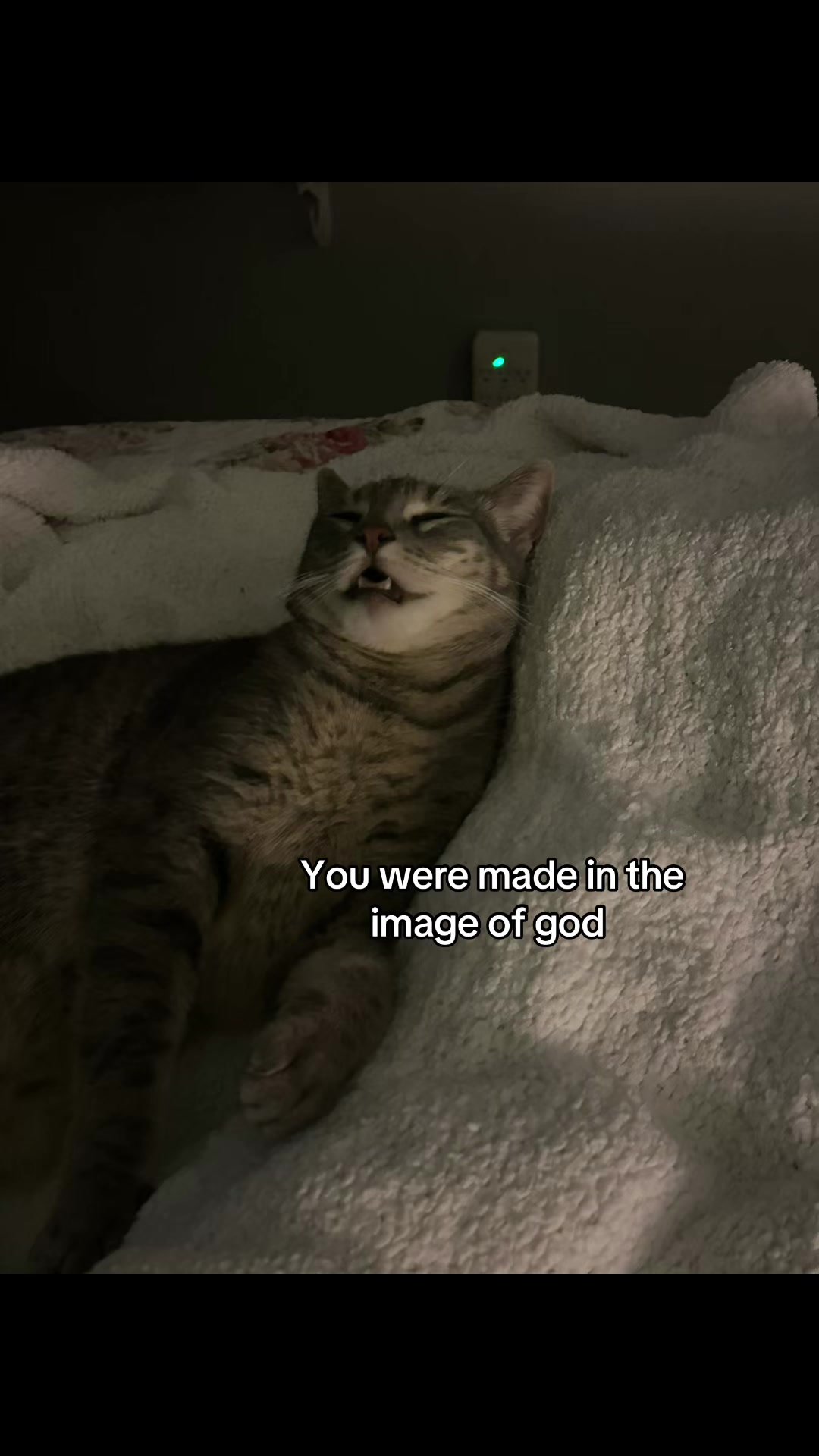 @kaia･:*:･ﾟ★ ｡･:*: