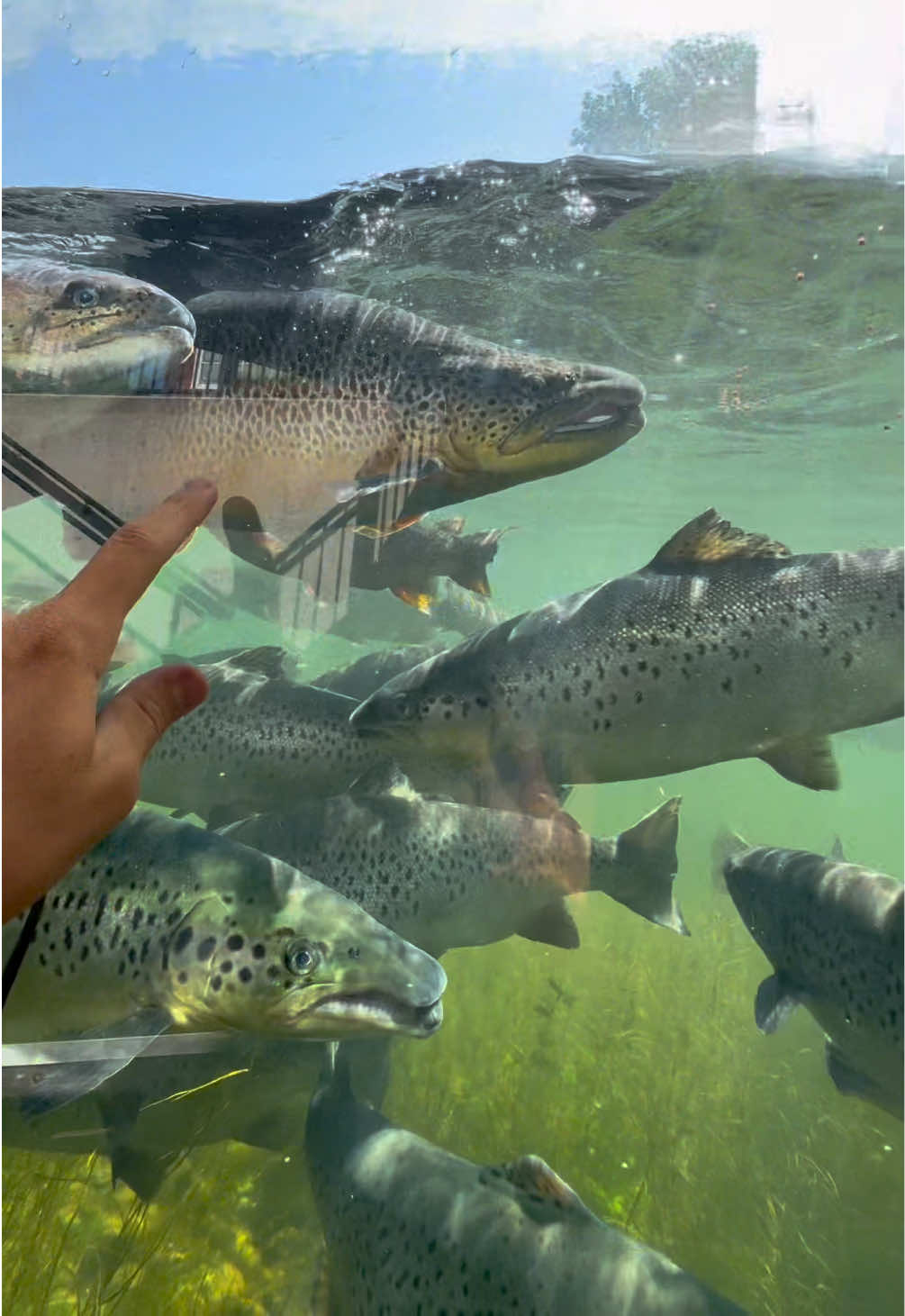 @North Star Fishing