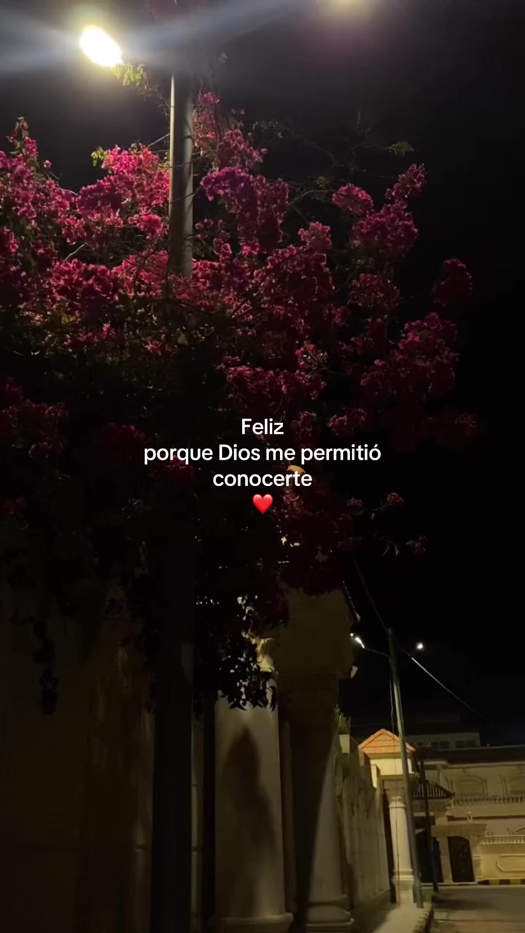 @𝙁𝙍𝘼𝙎𝙀𝙎🧃