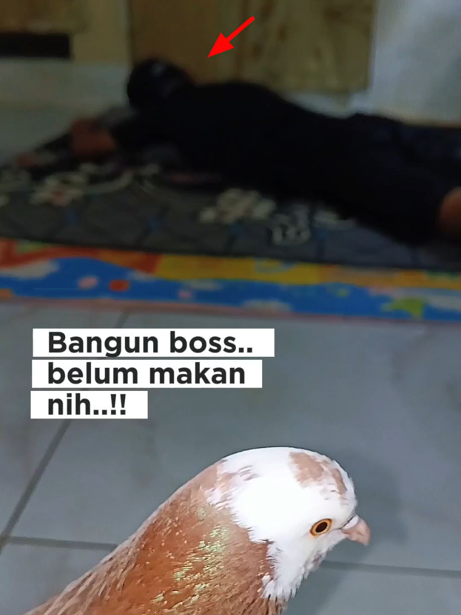 @BANG LEYON