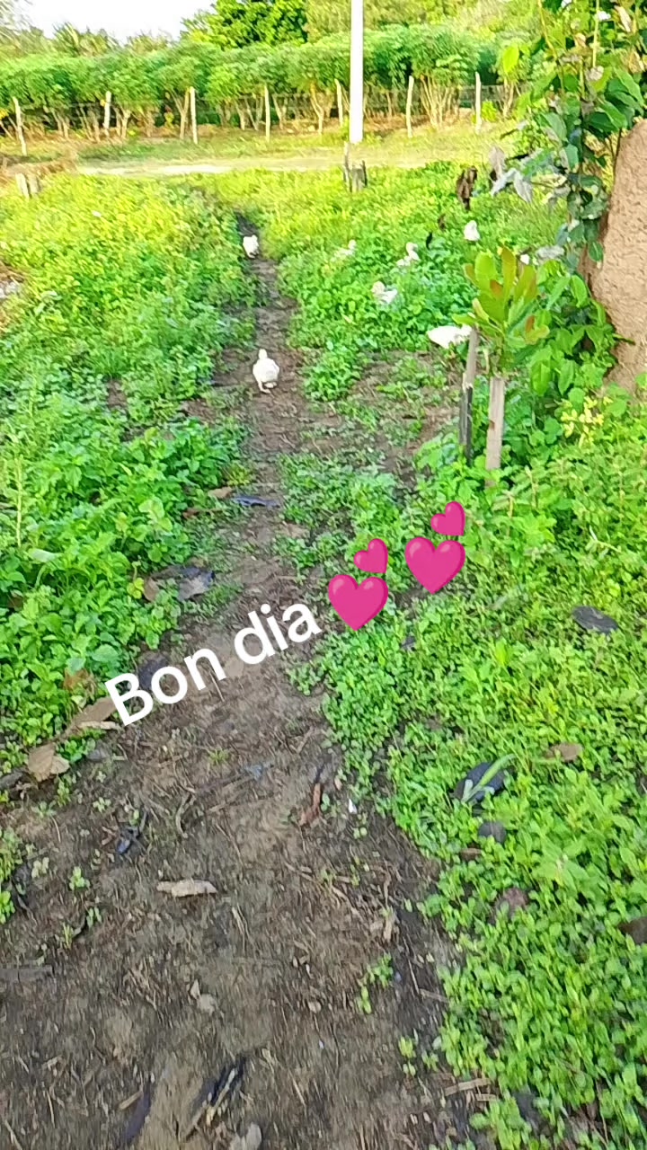 @Cassia Lopes999