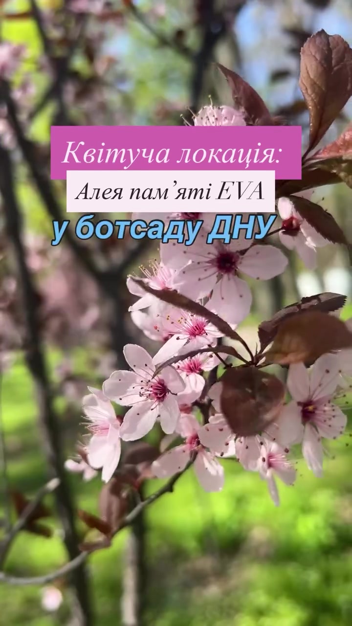@dnu.oles.honchar