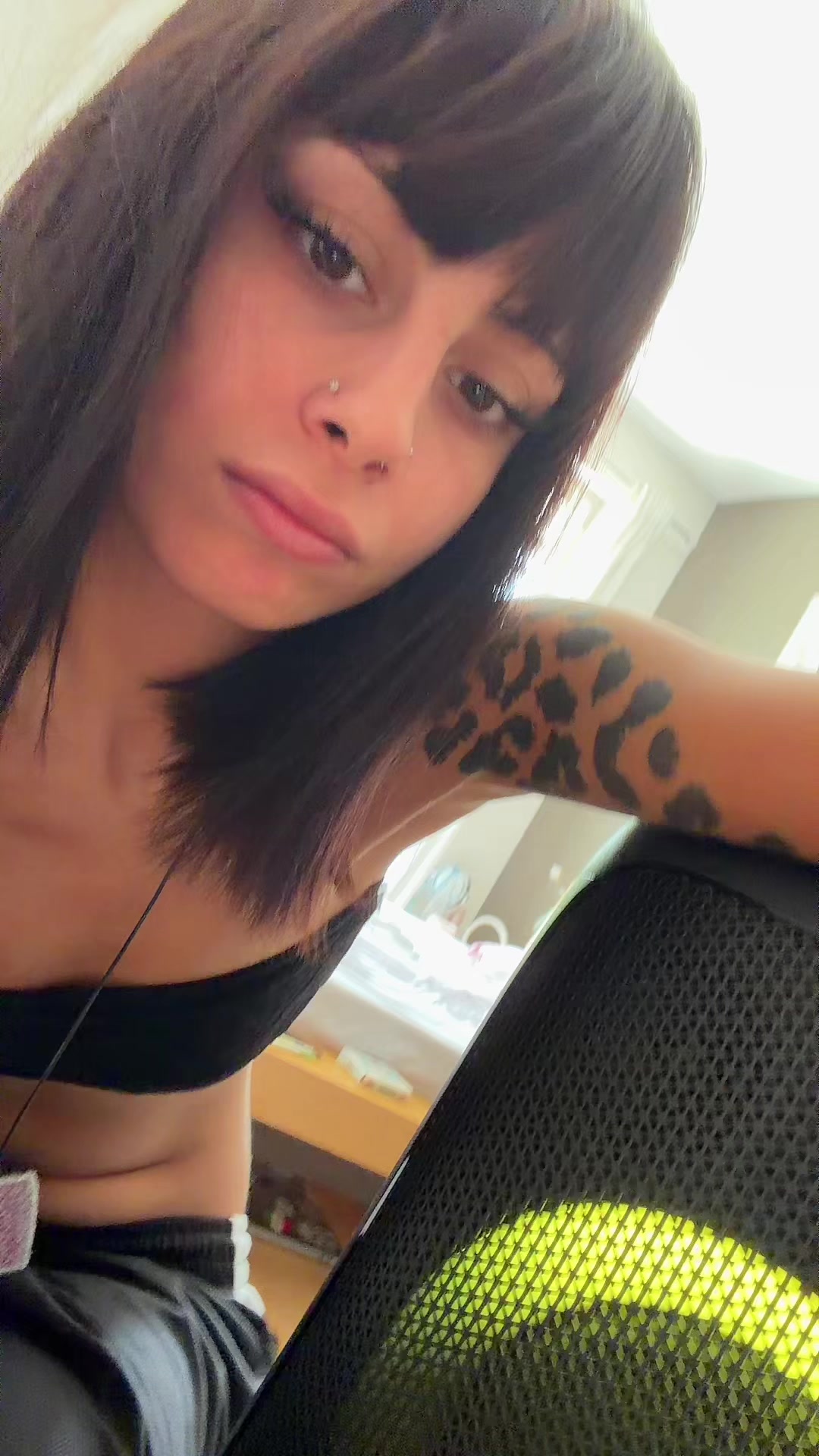 @persiankitten