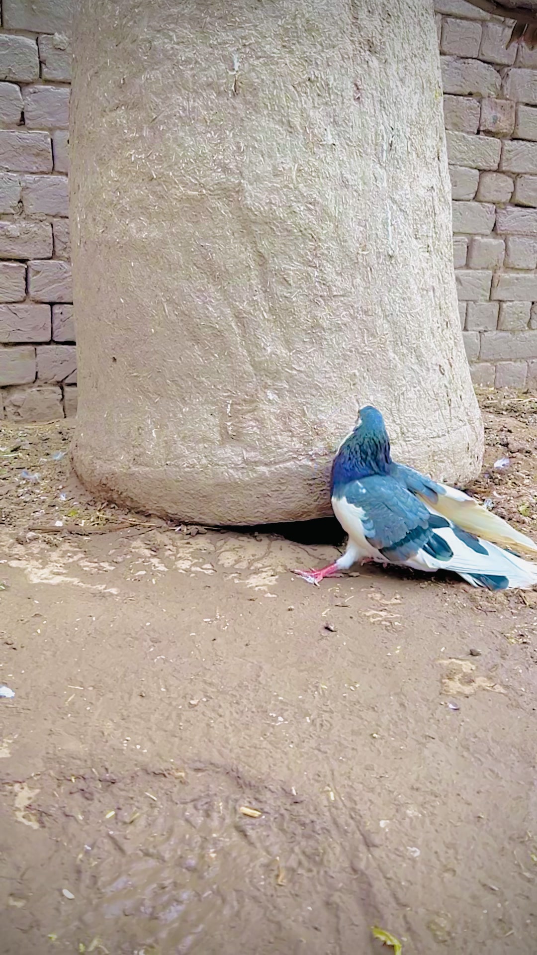 @♥مرتضیٰ سیال🌠
