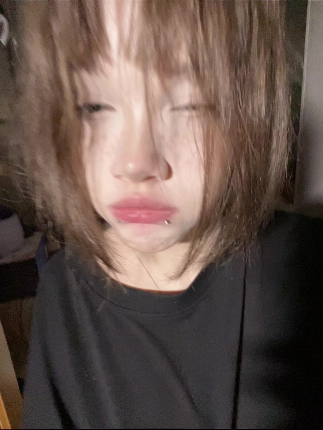 @лацертида