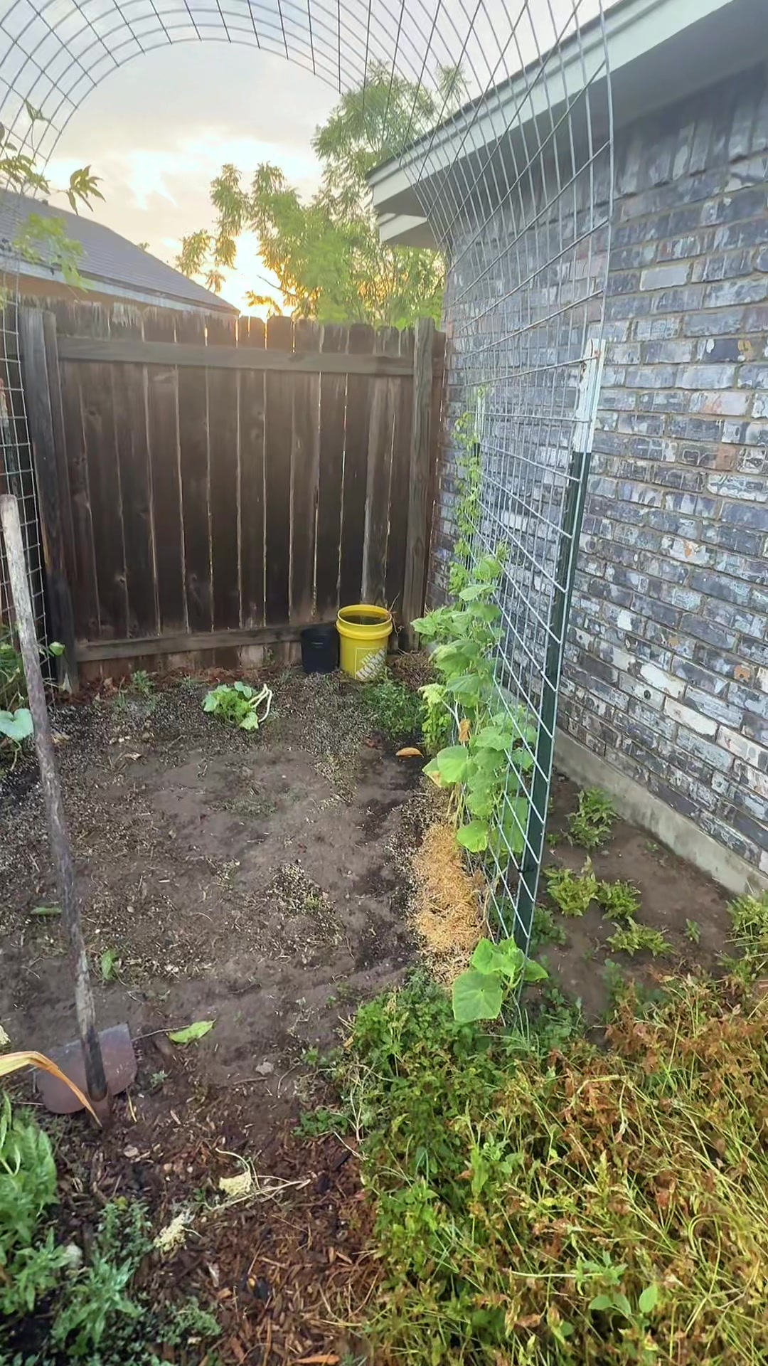 @themagicvalleygardener