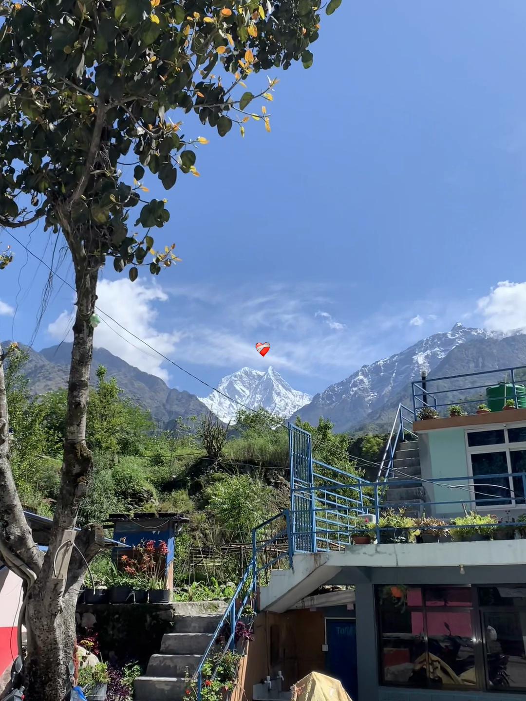 @Magar:Solti🧿