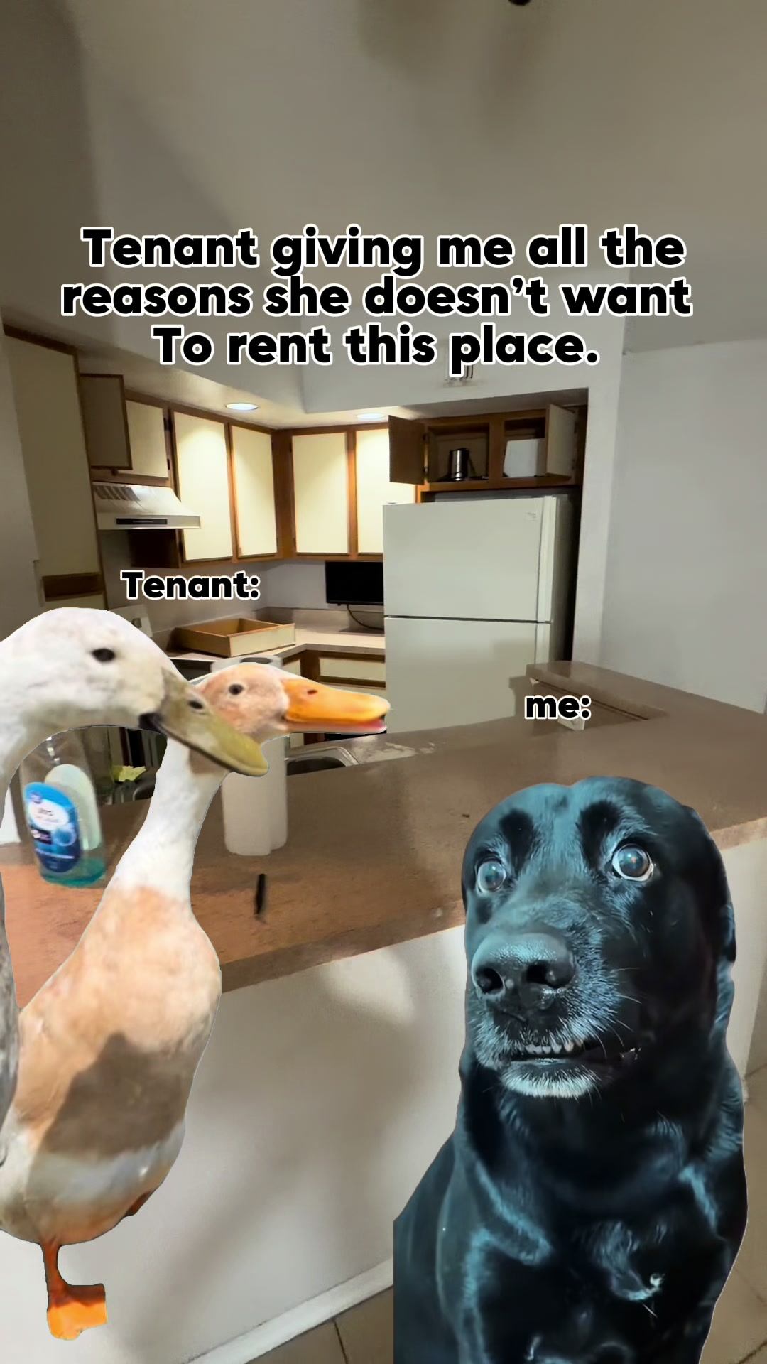 @The Hungry Realtor