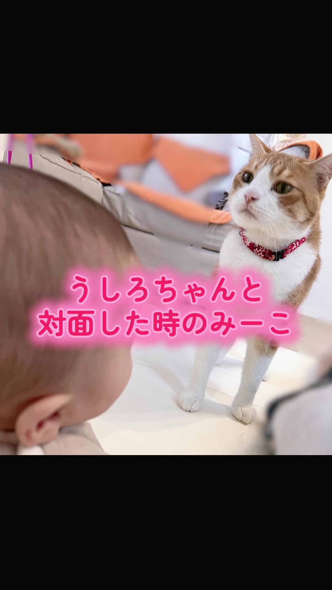 @みーこchannel