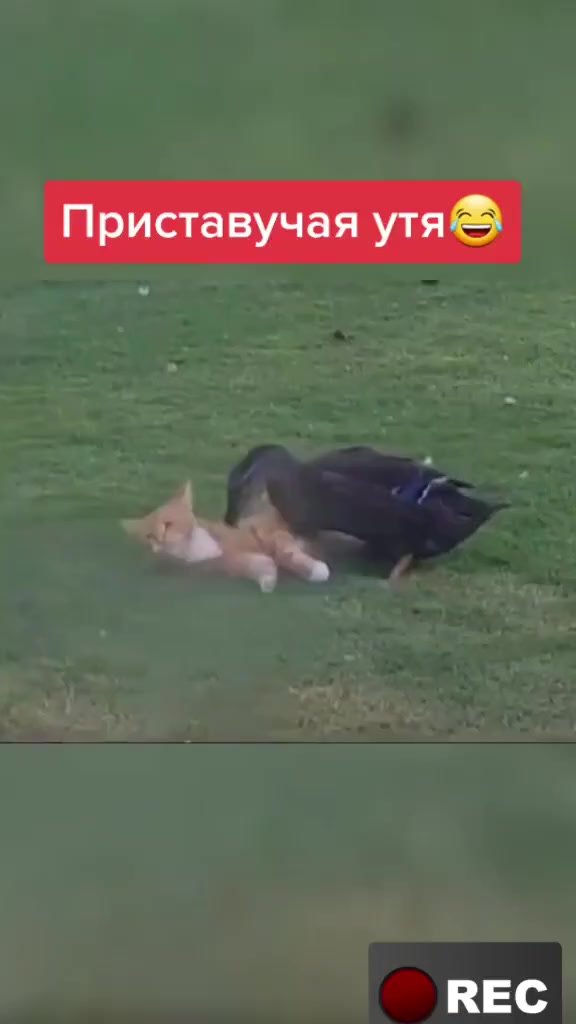 @Лариса