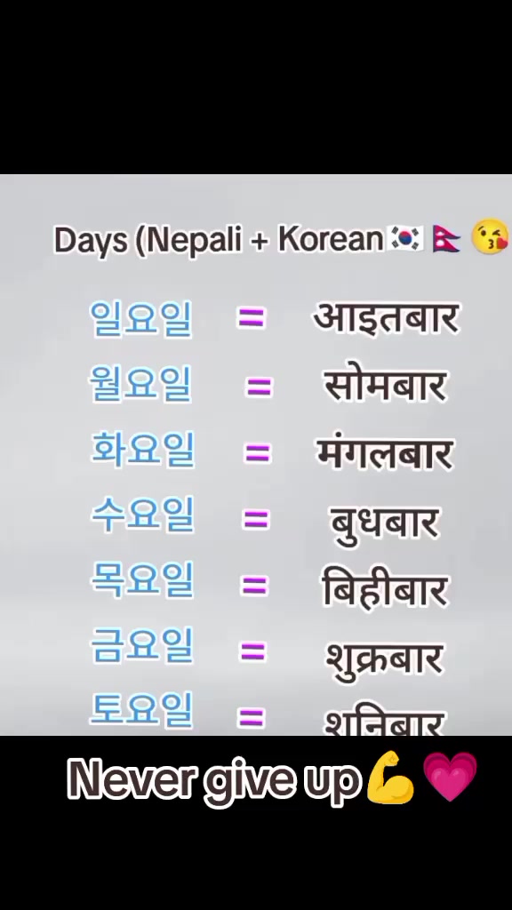 @꿈 한국🇰🇷🇳🇵