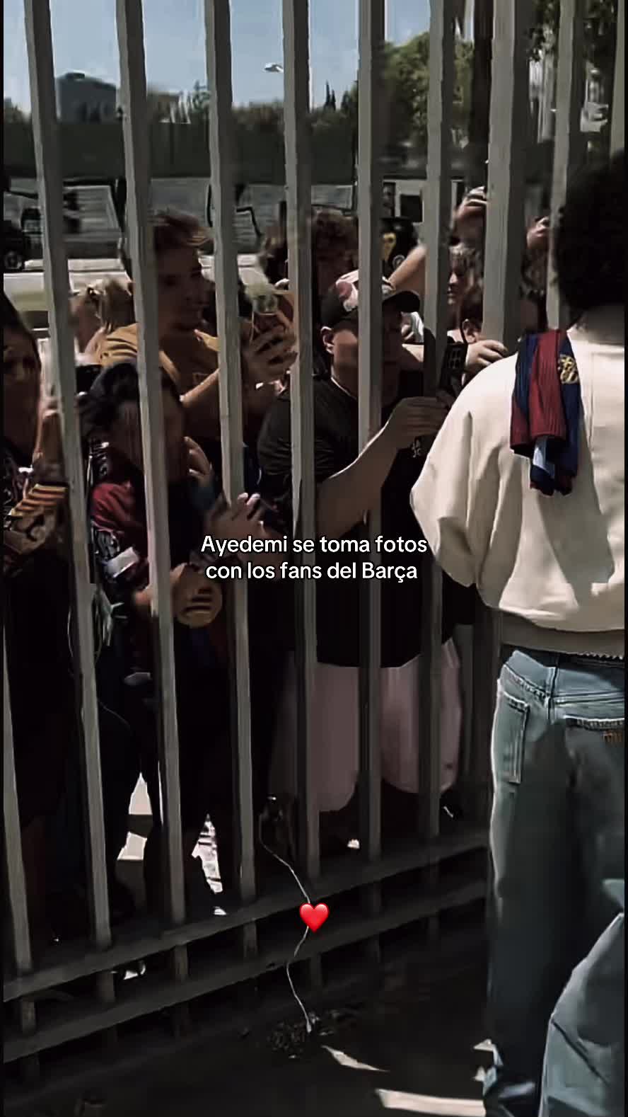 @Mateo Jr