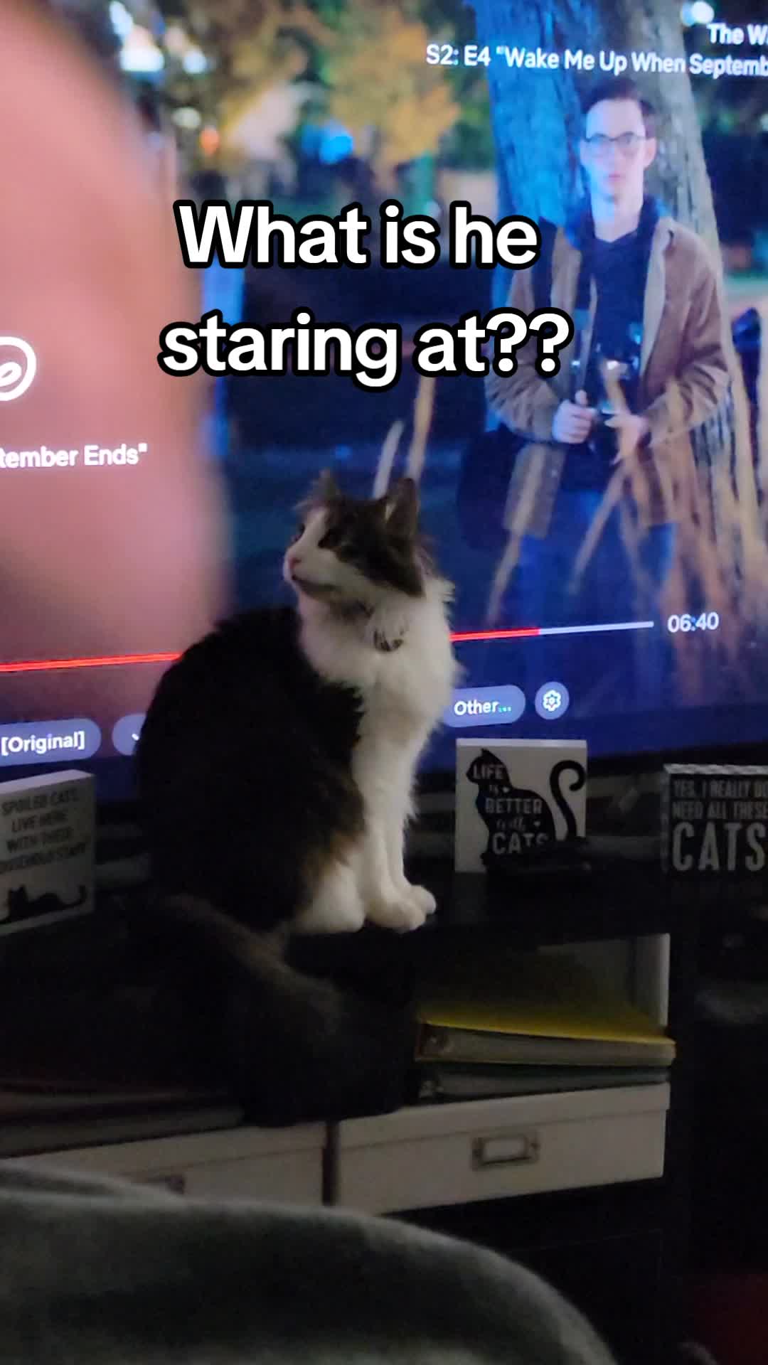 @CatCraze