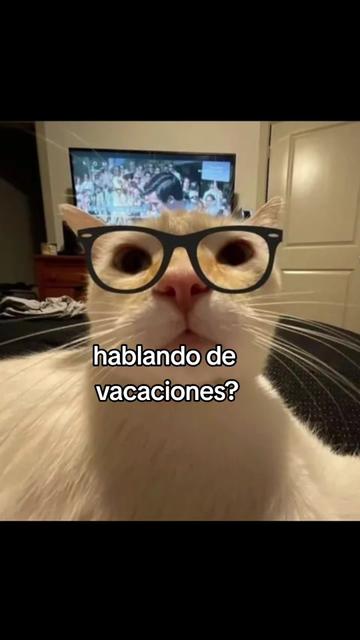 @Sindy123!