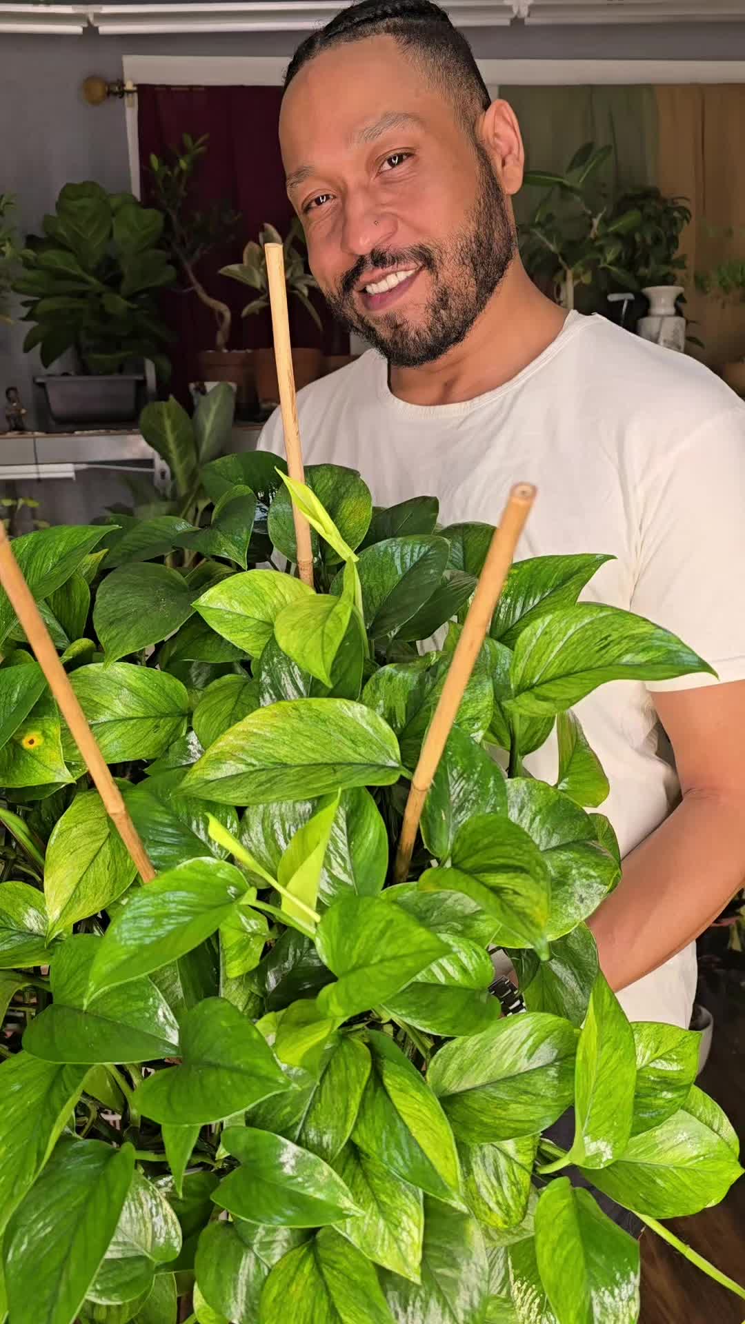 @JT - BigEGOPlants