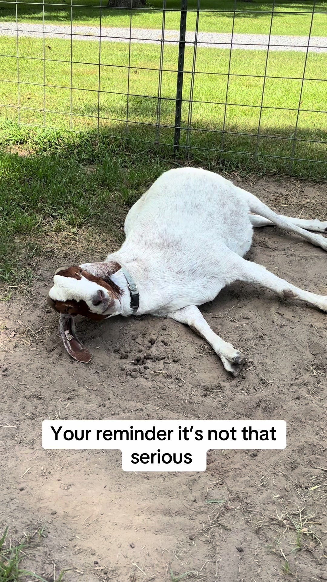 @Sarah ;)