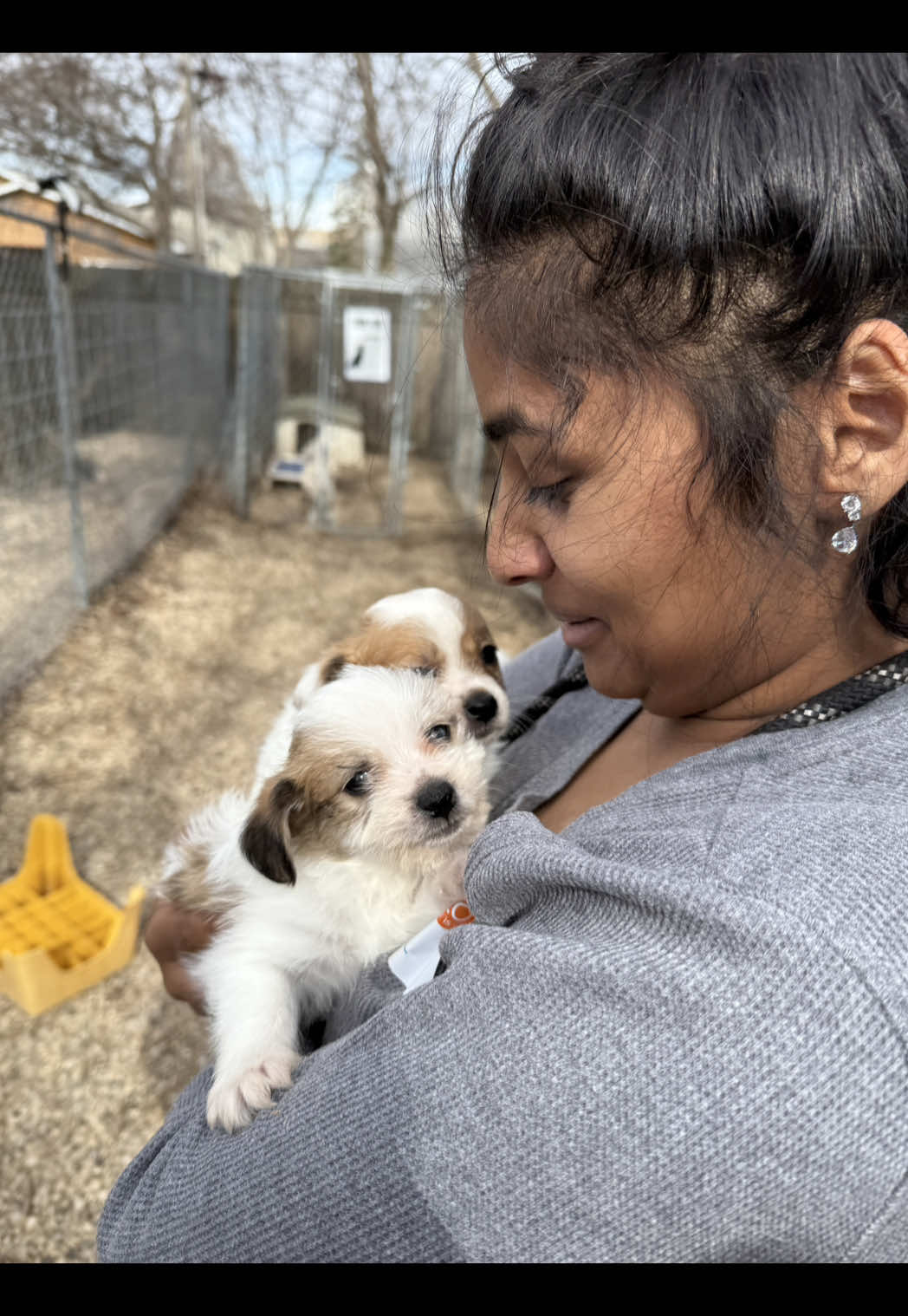 @sftsanimalrescue