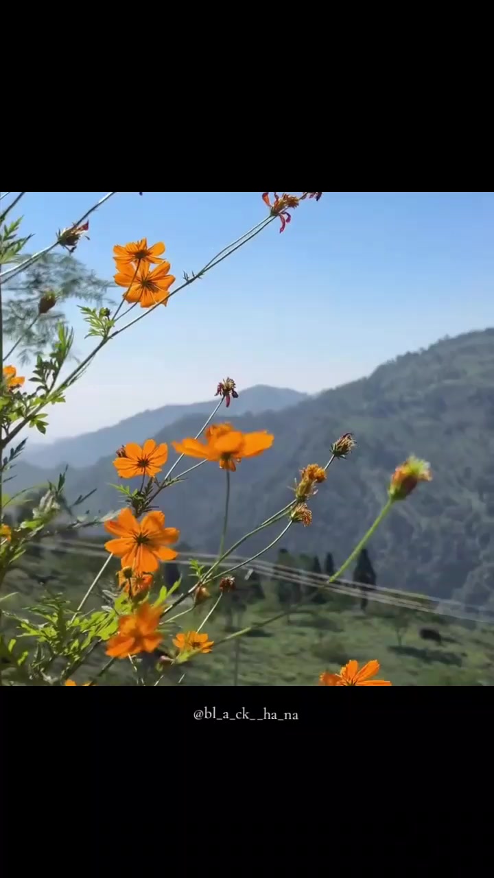 @Ha_Na🌻