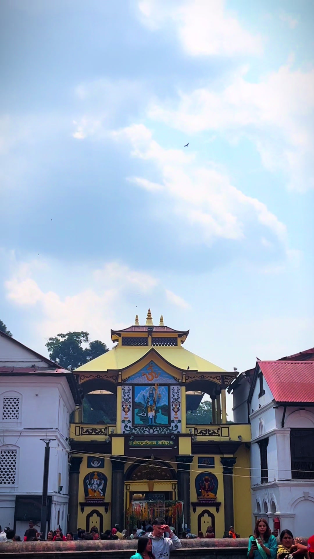 @xettree_birendra